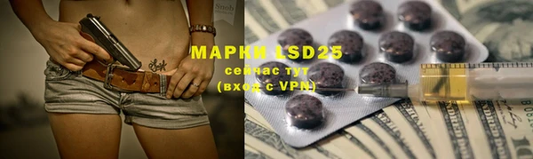 spice Туринск