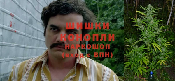 spice Туринск