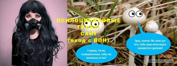 spice Туринск