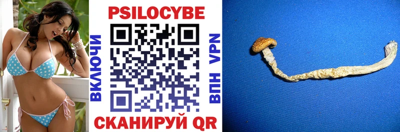 Галлюциногенные грибы Magic Shrooms  Купить где  Усть-Кут 